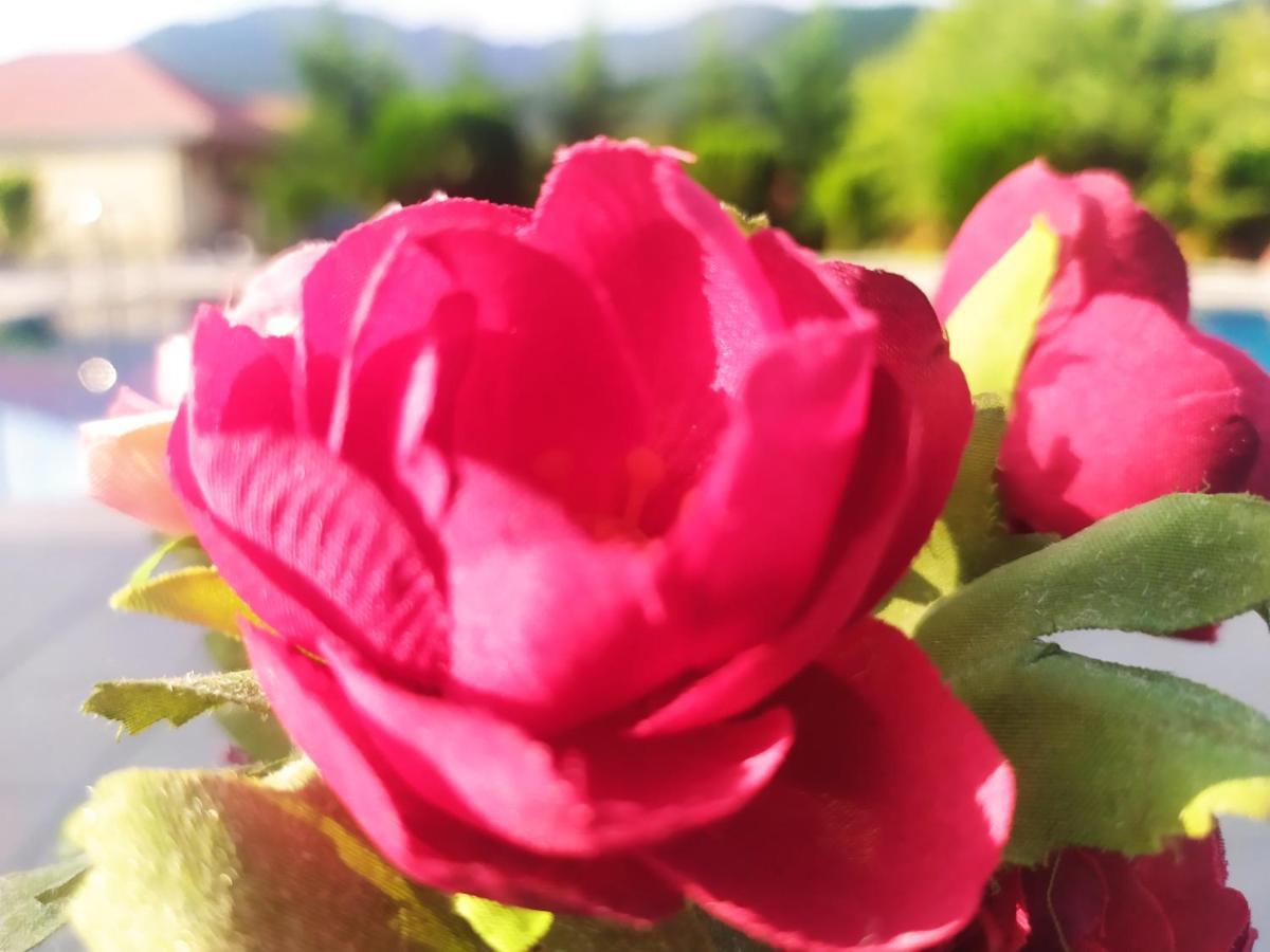 Bliss Hotel Qəbələ Zewnętrze zdjęcie